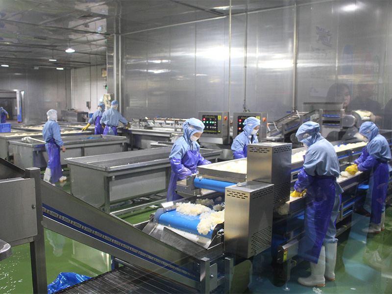 Production Line